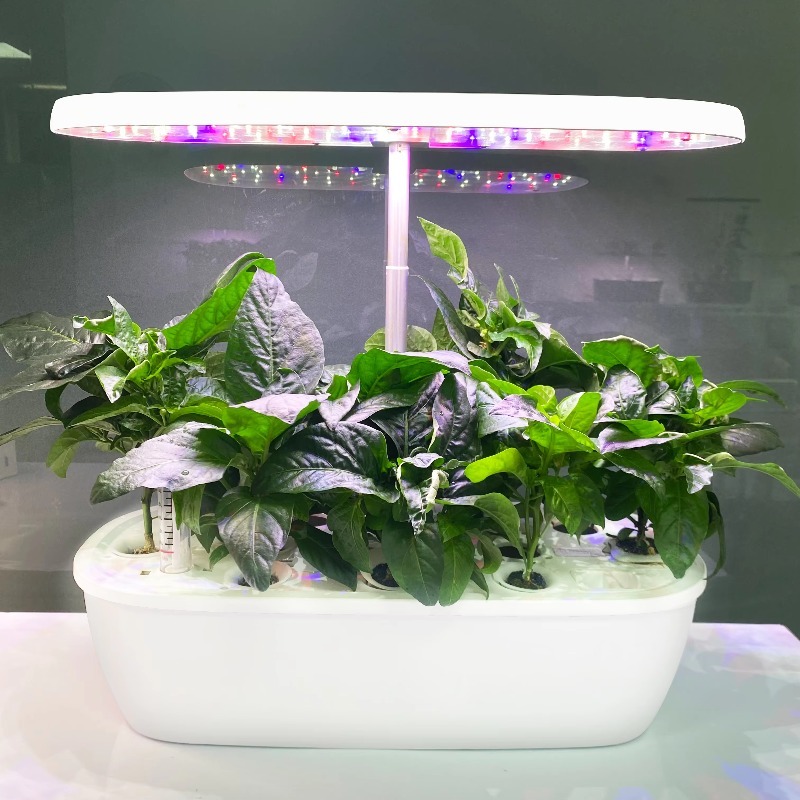 Smart Garden Design - Sistema di Giardino Idroponico Elettronico Intelligente