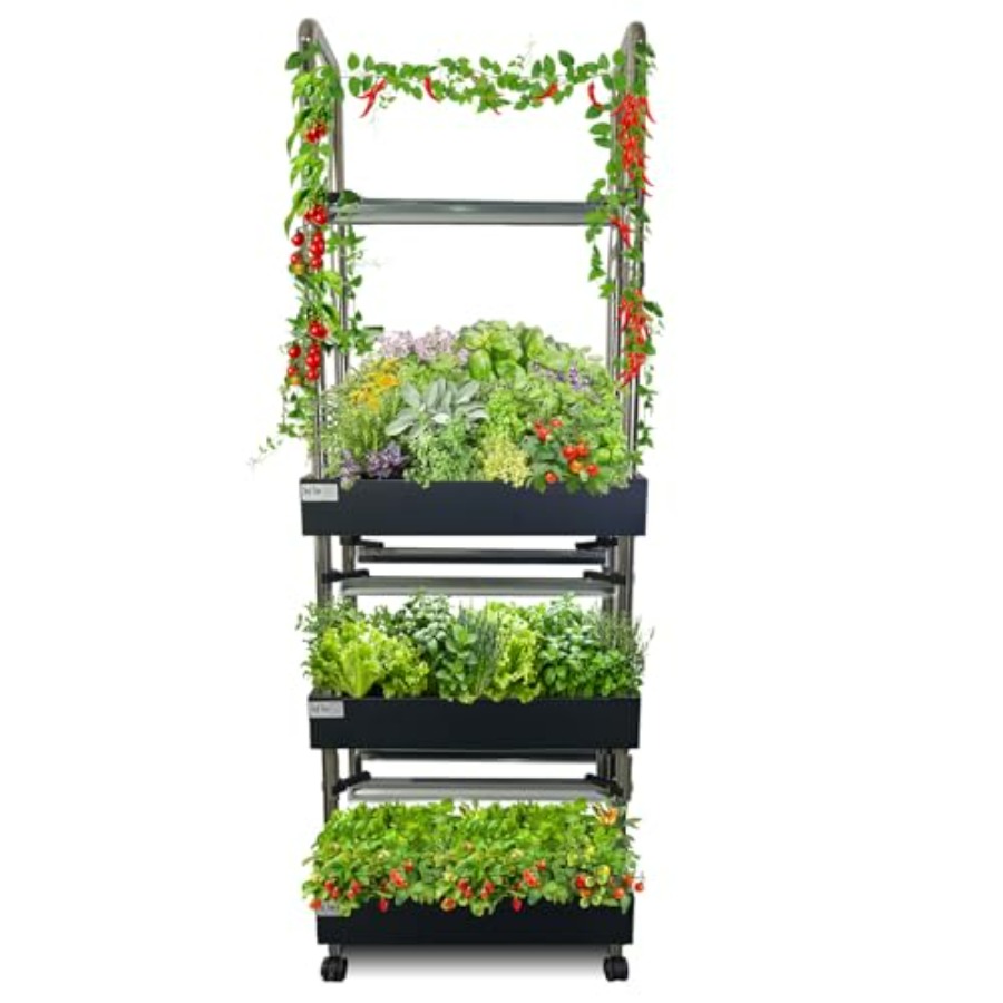 Smart Garden Water - Sistema di coltivazione idroponica indoor: giardino