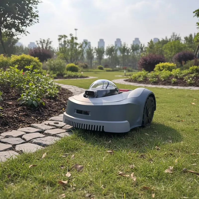 Nuovissimo Mini Robot Tagliaer - Smart Garden Water recensione e prezzo