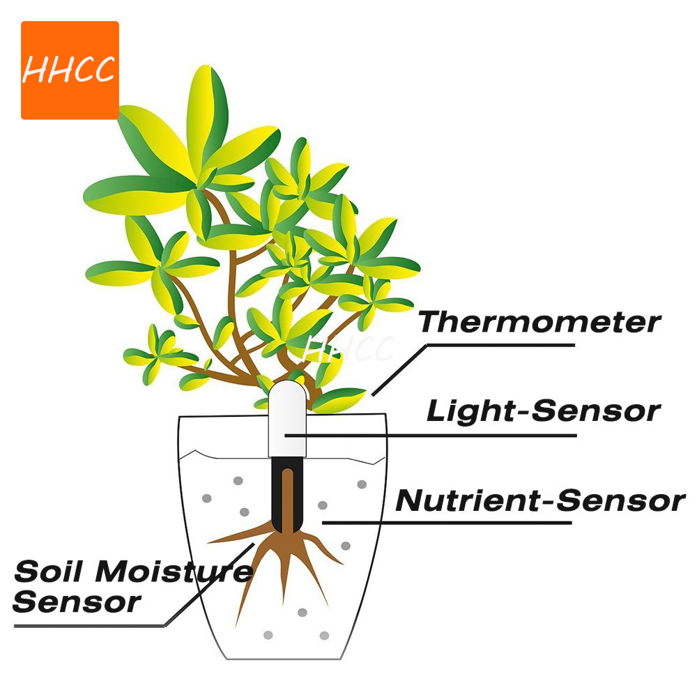 Nuovo Sistema di Irrigazione I - Smart Garden Design recensione e prezzo