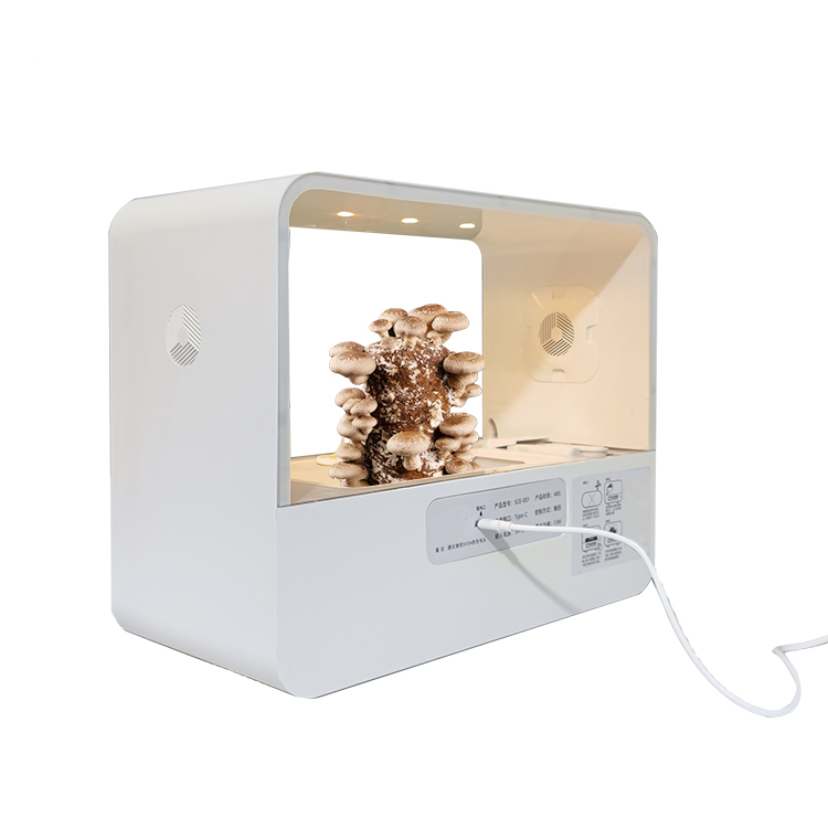 Nuovo design mini funghi fiori - Smart Garden Design recensione e prezzo