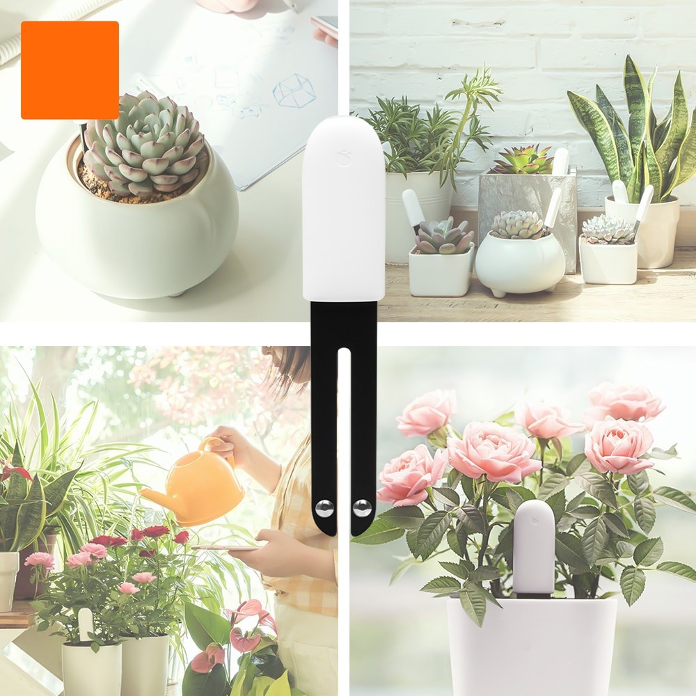 HHCC Smart Flora Monitor Giard - Smart Garden Xiaomi recensione e prezzo