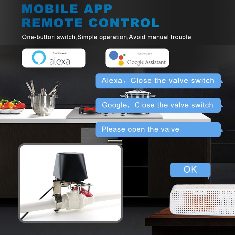 Valvola del Gas Intelligente T - Smart Garden Water recensione e prezzo