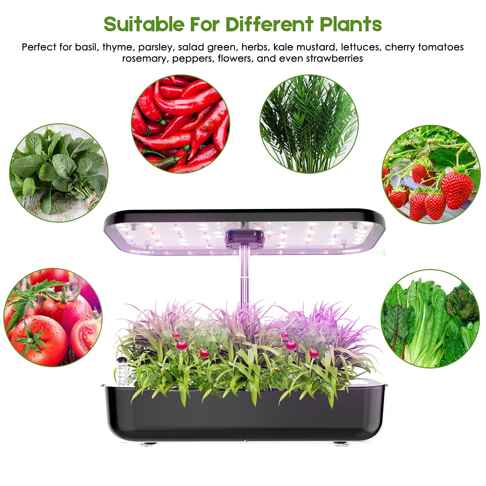 Sistema di coltivazione idropo - Smart Pod Garden recensione e prezzo