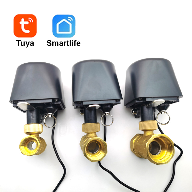 Tuya WiFi o Zigbee Valvola del - Smart Garden Water recensione e prezzo